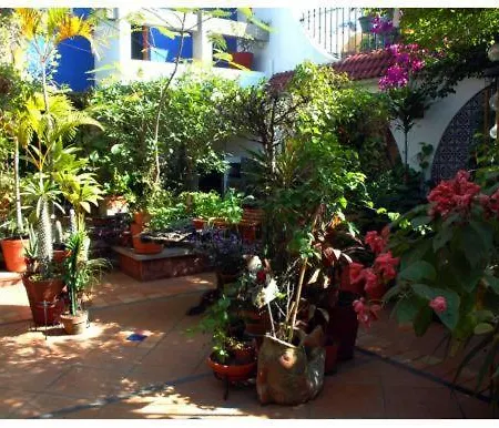 Suitel 522 Eco Hostel-3